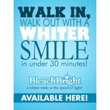 Bleach Bright Window Static Cling Sign